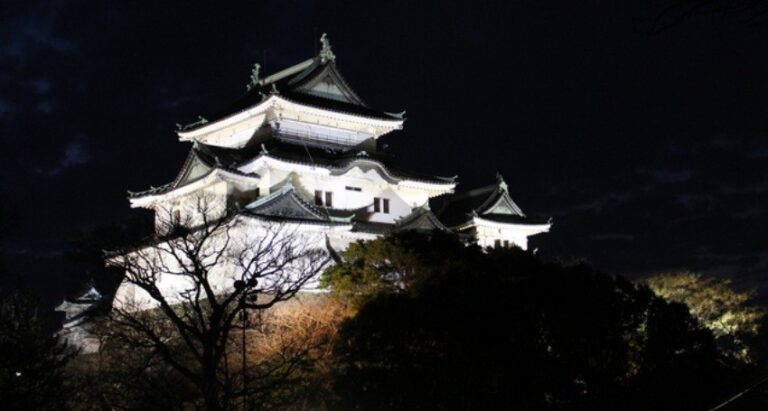 和歌山市の観光名所である和歌山城の天守閣